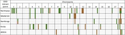 Candidate genes for field resistance to cassava brown streak disease revealed through the analysis of multiple data sources